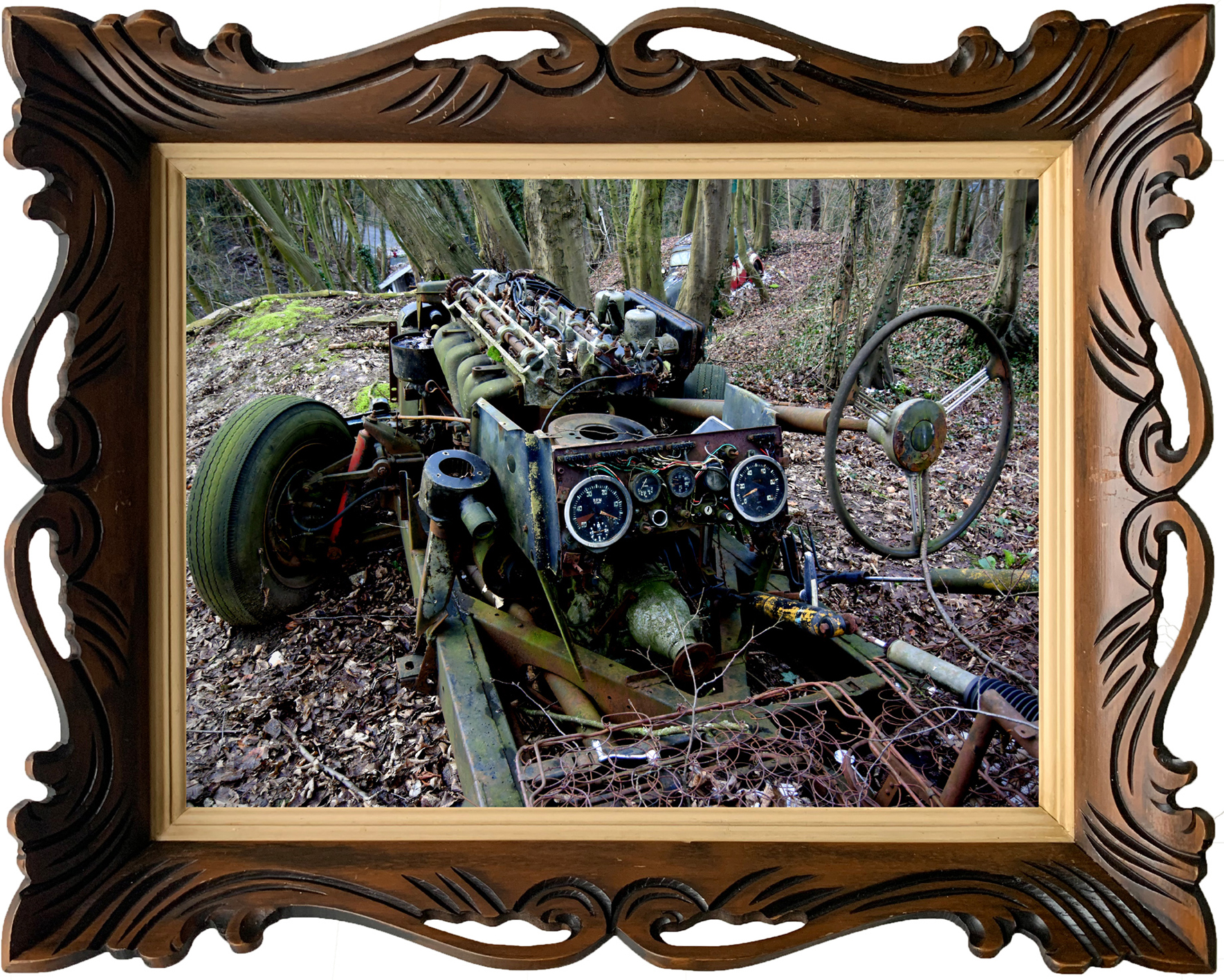 50 oldtimers uit 1950 staan verspreid in een bosperceel, sommigen deels overwoekerd door de natuur.