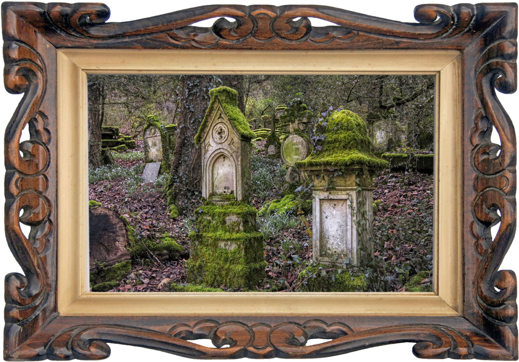 Oude begraafplaats met vervallen zerken en begroeiing in Maxey sur Vaise, Frankrijk.