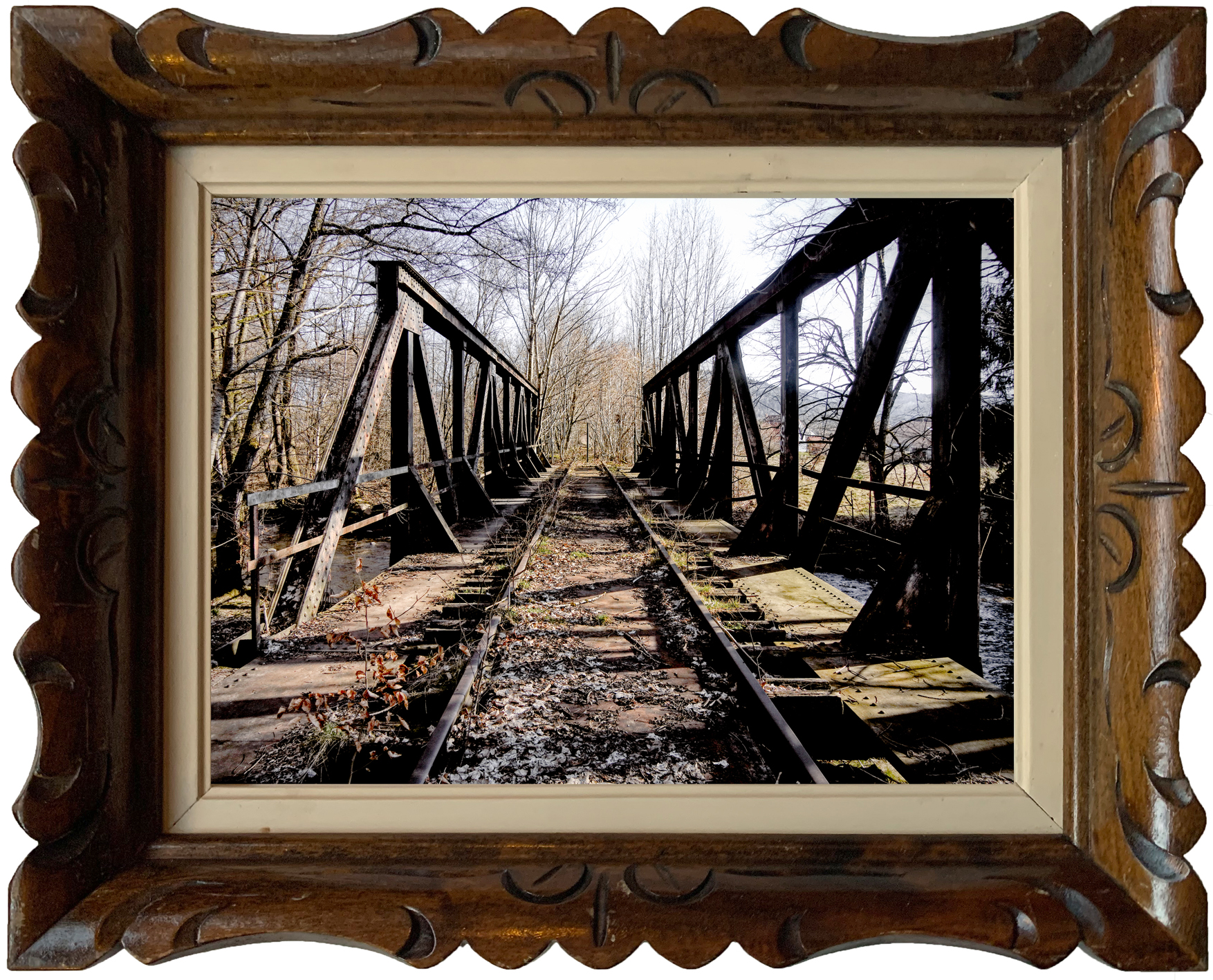Een verlaten spoorbrug in een bosrijke omgeving, met vervallen sporen en begroeiing.